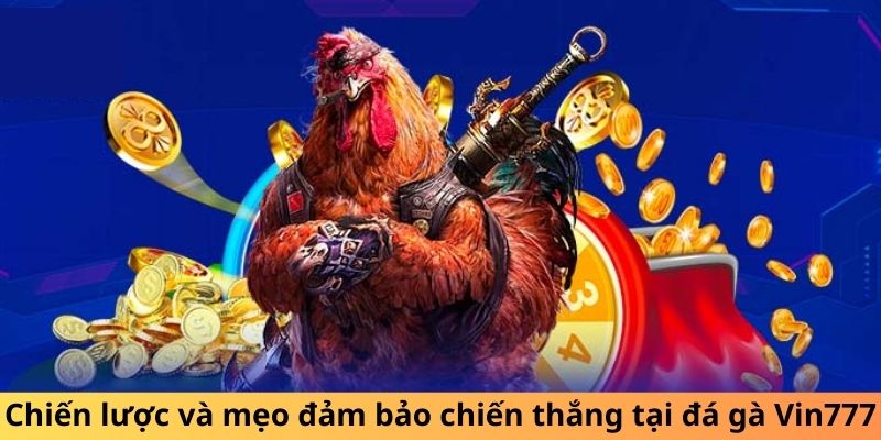 Chiến lược và mẹo đảm bảo chiến thắng tại đá gà Vin777