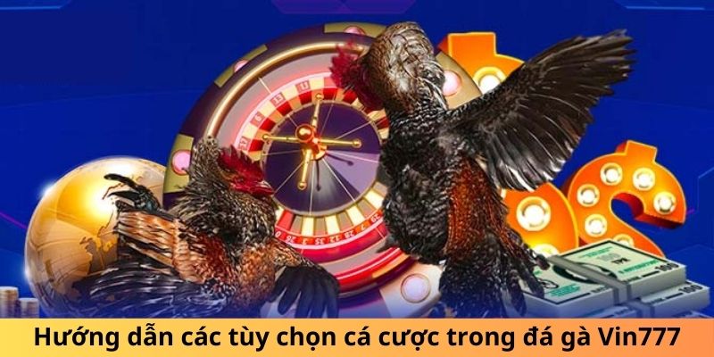 Hướng dẫn các tùy chọn cá cược trong đá gà Vin777